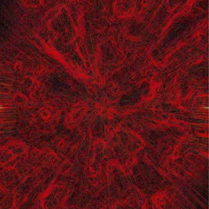 ❌❌❌❌日本护士老师高超
