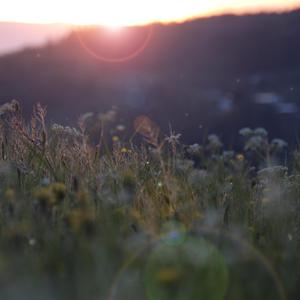 ❌❌❌❌日本护士老师高超
