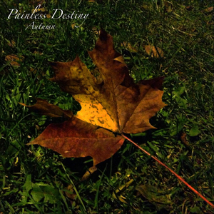 ❌❌❌❌日本护士老师高超
